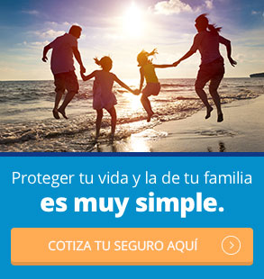 vida-simple-interna